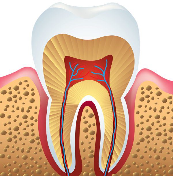 https://dentistinnorthvancouver.com/wp-content/uploads/2024/04/root-canal-quayside-dental.jpg